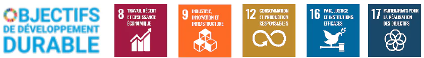 Logo « OBJECTIFS DE DÉVELOPPEMENT DURABLE » et icônes des objectifs 8, 9, 12, 16 et 17